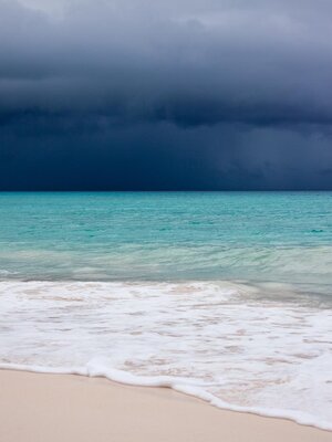 cover image of The Big Blue